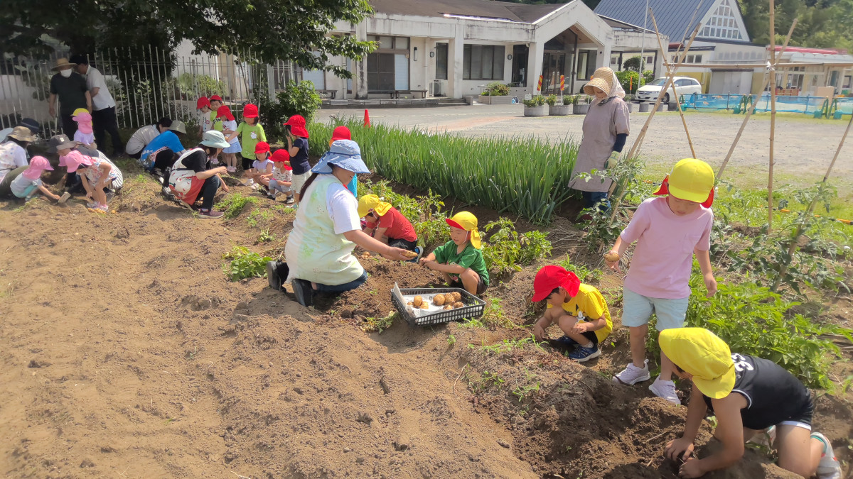 WIN_20250619_09_07_18_Pro