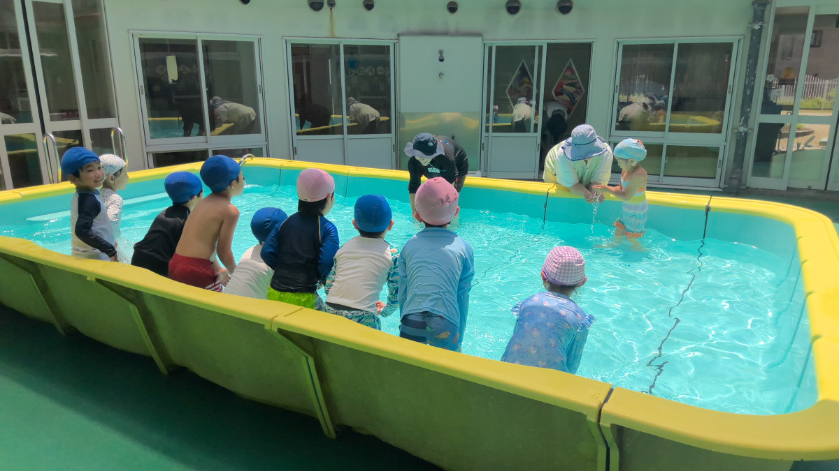 WIN_20250619_11_27_06_Pro