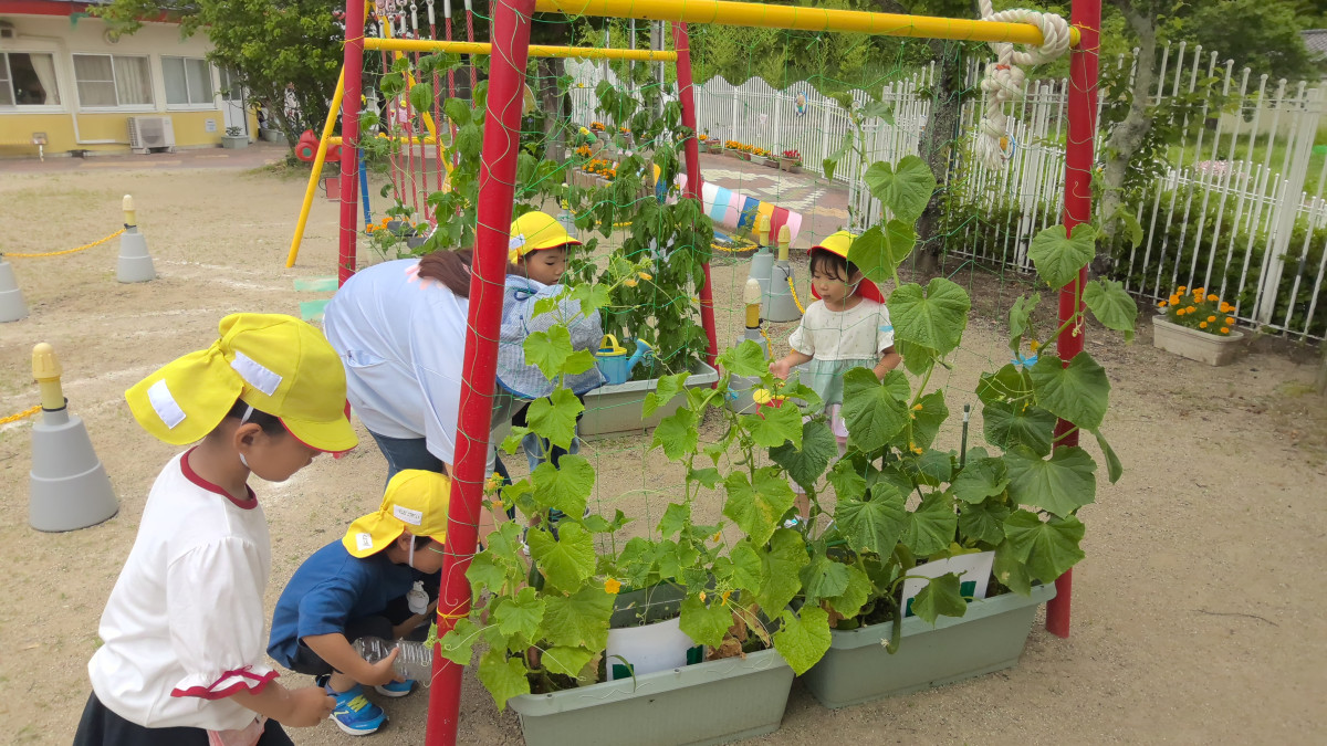 WIN_20250623_09_43_43_Pro