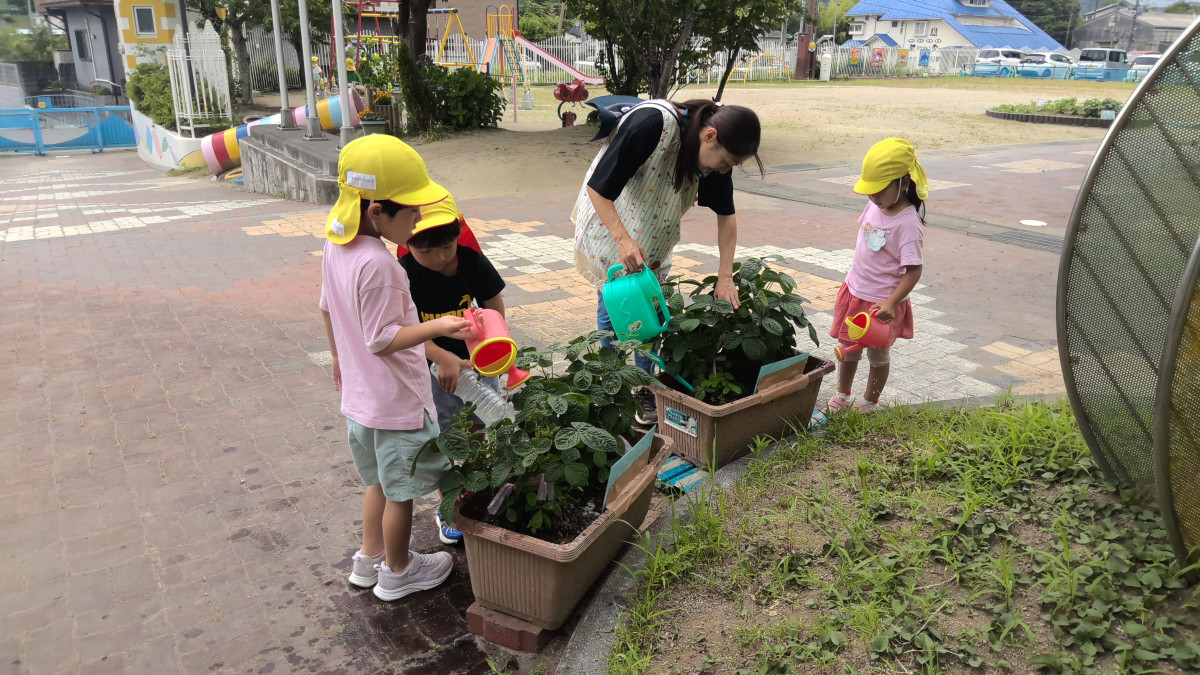 WIN_20250623_09_45_22_Pro