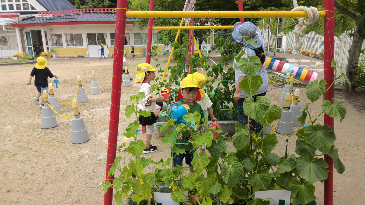 WIN_20250623_09_46_12_Pro