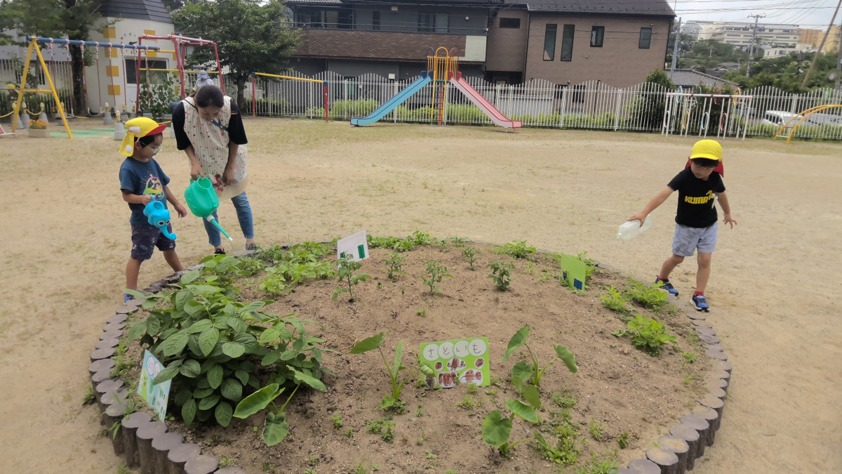 WIN_20250623_09_46_42_Pro