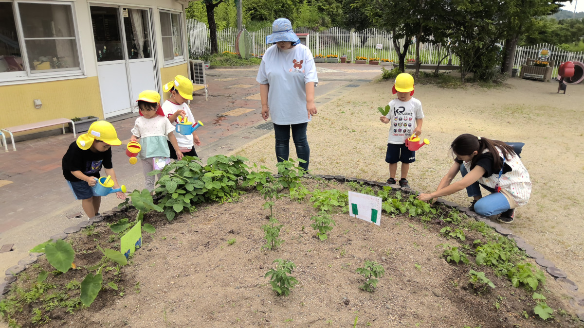 WIN_20250623_09_48_17_Pro