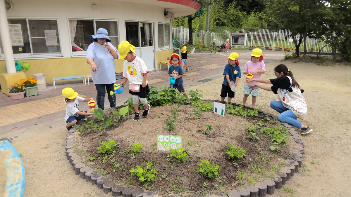 WIN_20250623_09_49_30_Pro