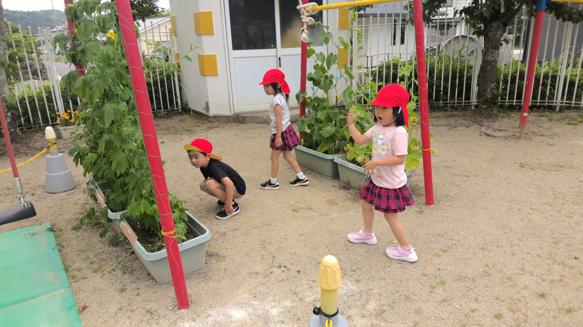 WIN_20250623_09_50_46_Pro