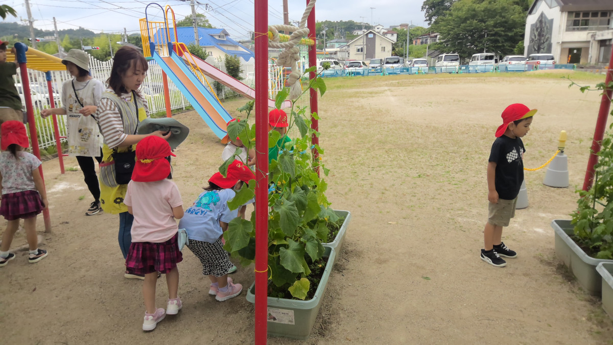 WIN_20250623_09_51_50_Pro