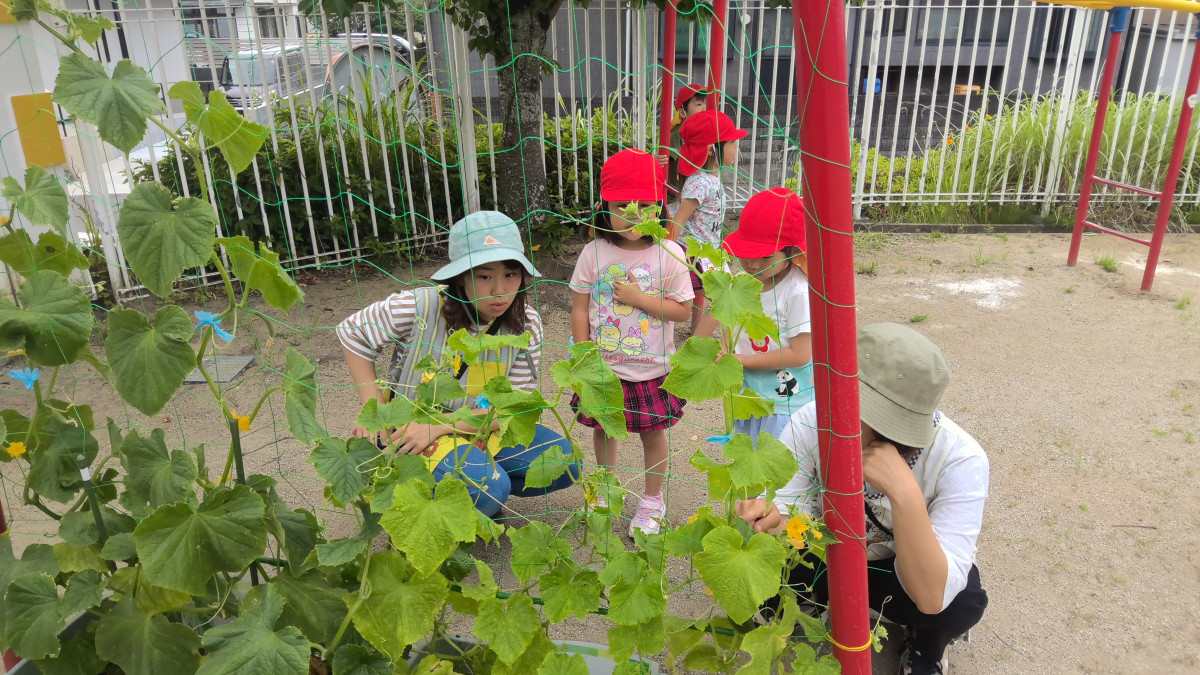 WIN_20250623_09_52_13_Pro