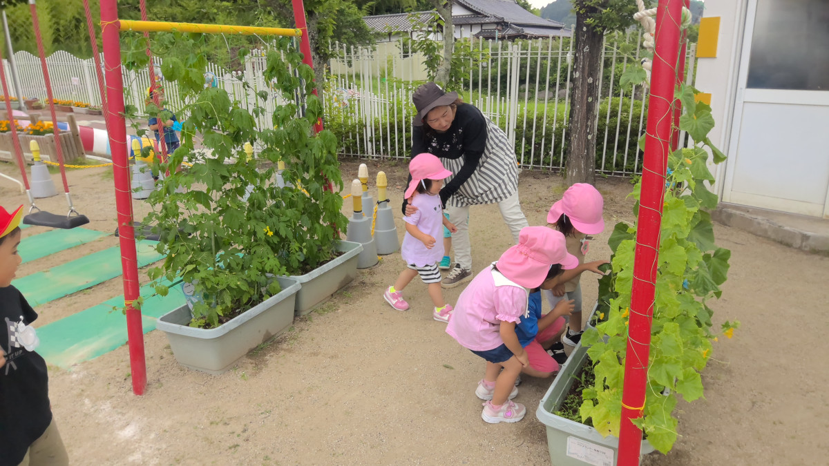 WIN_20250623_09_56_50_Pro