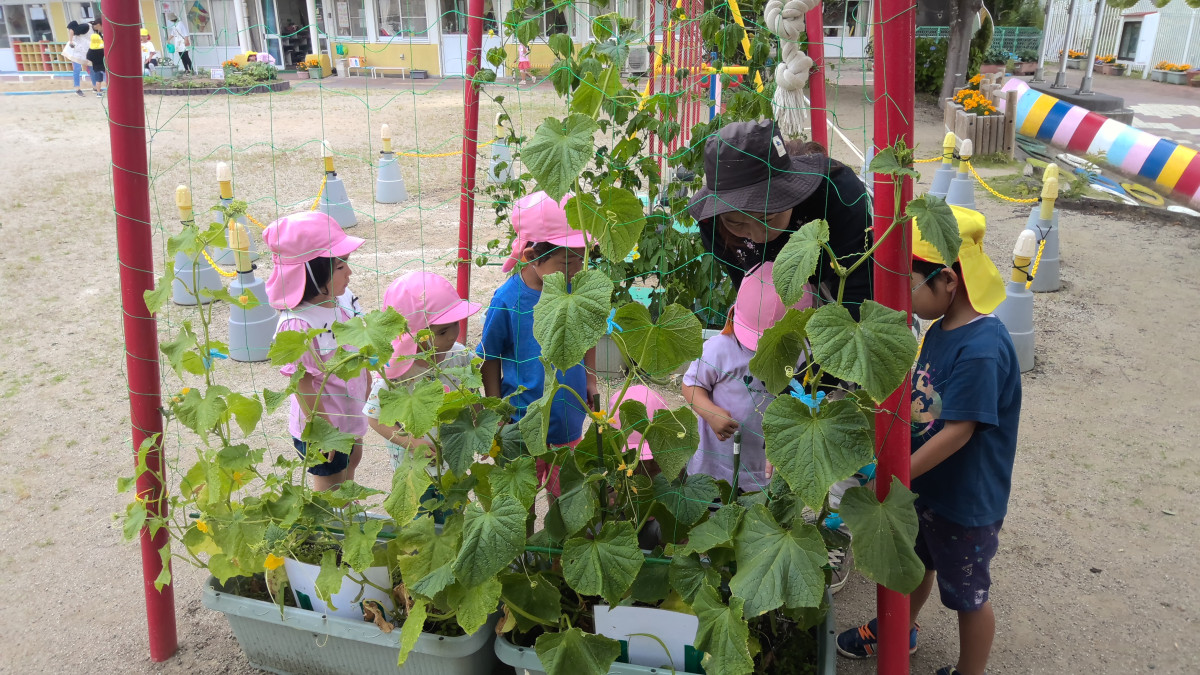 WIN_20250623_09_57_06_Pro