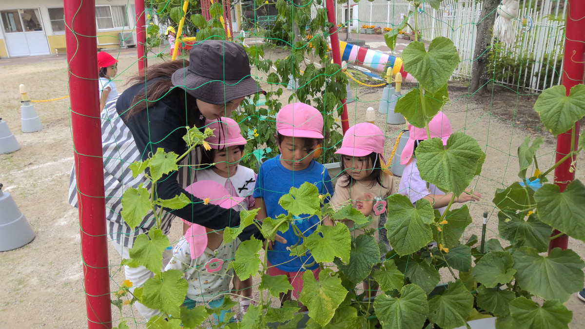 WIN_20250623_09_57_22_Pro