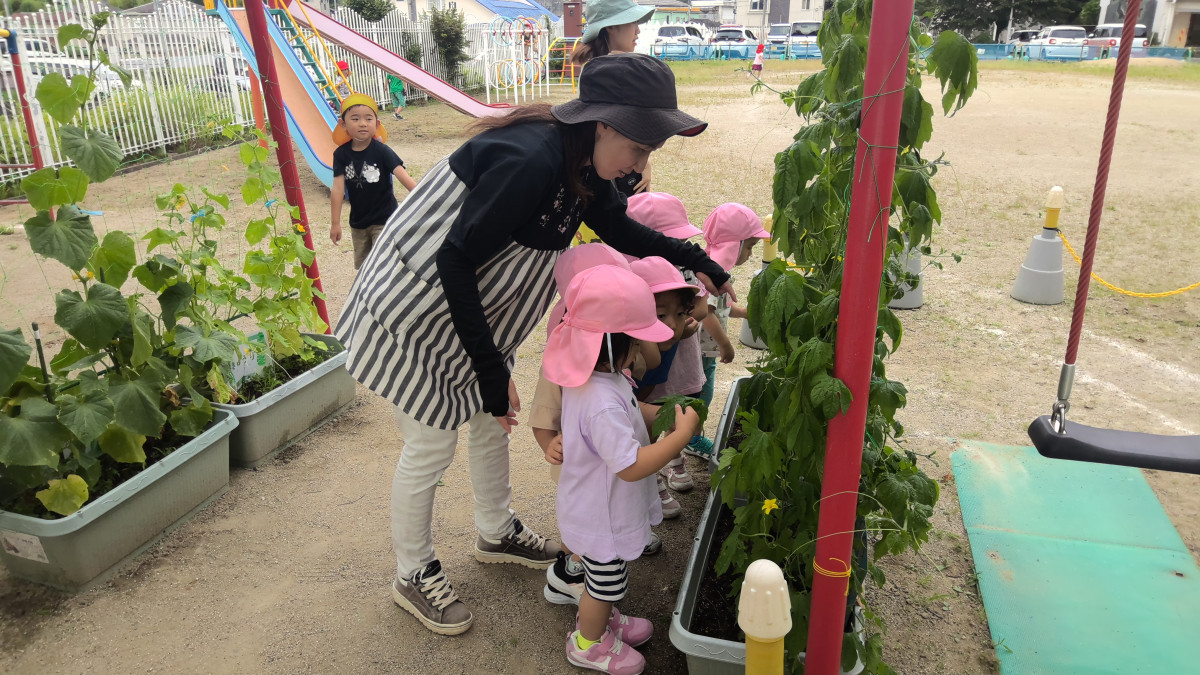 WIN_20250623_09_57_38_Pro