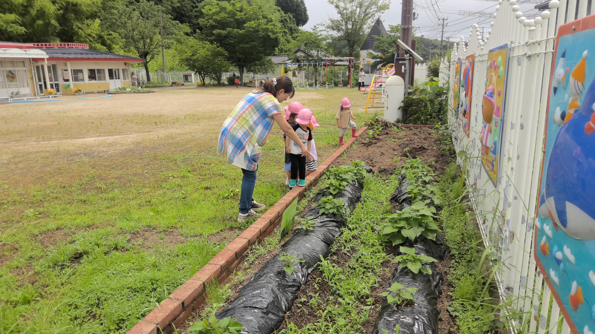 WIN_20250626_10_57_15_Pro