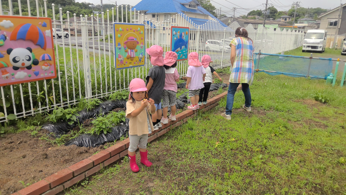 WIN_20250626_10_57_48_Pro