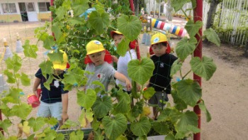 WIN_20250701_09_03_38_Pro