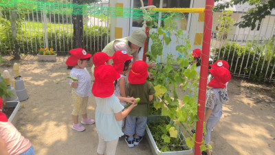 WIN_20250702_09_50_12_Pro