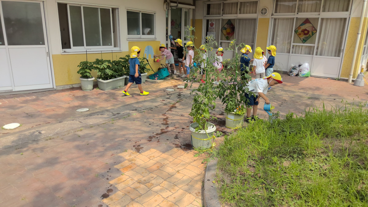 WIN_20250708_10_22_35_Pro