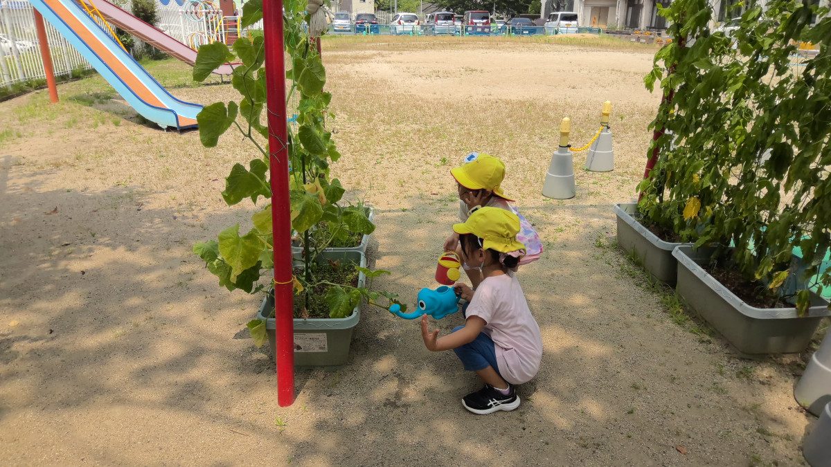 WIN_20250708_10_24_04_Pro