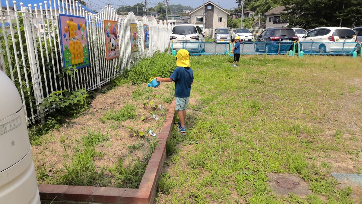 WIN_20250708_10_25_04_Pro