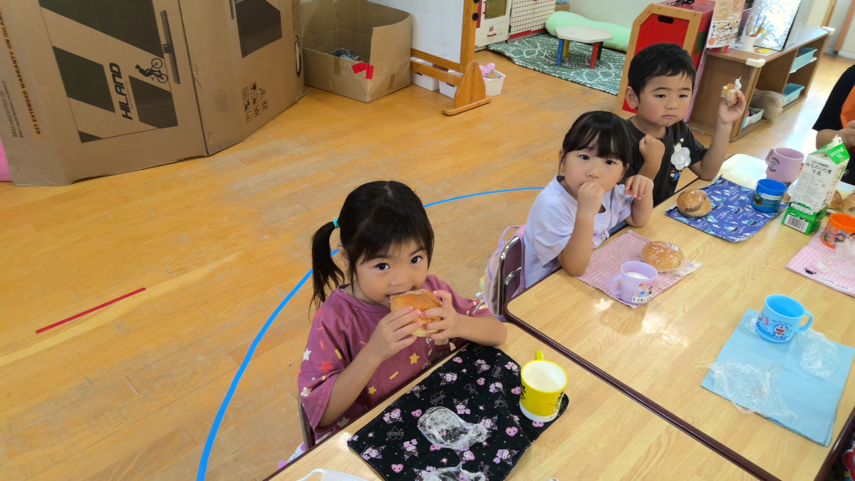 WIN_20250709_11_50_11_Pro