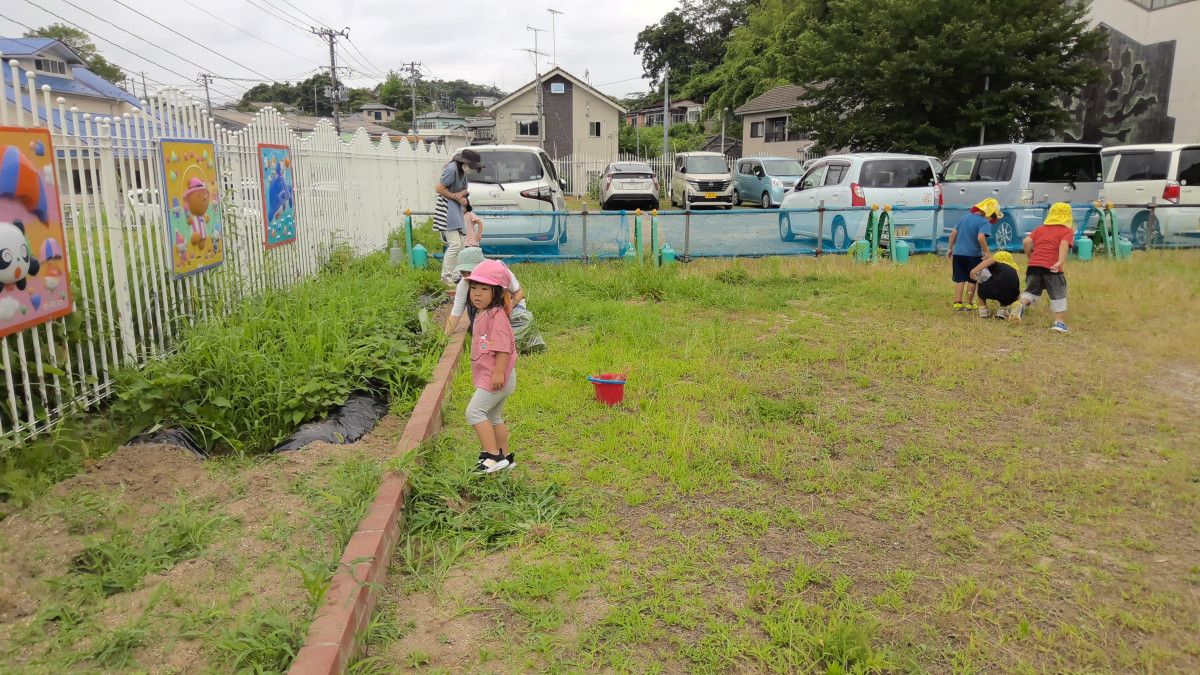 WIN_20250710_10_01_29_Pro