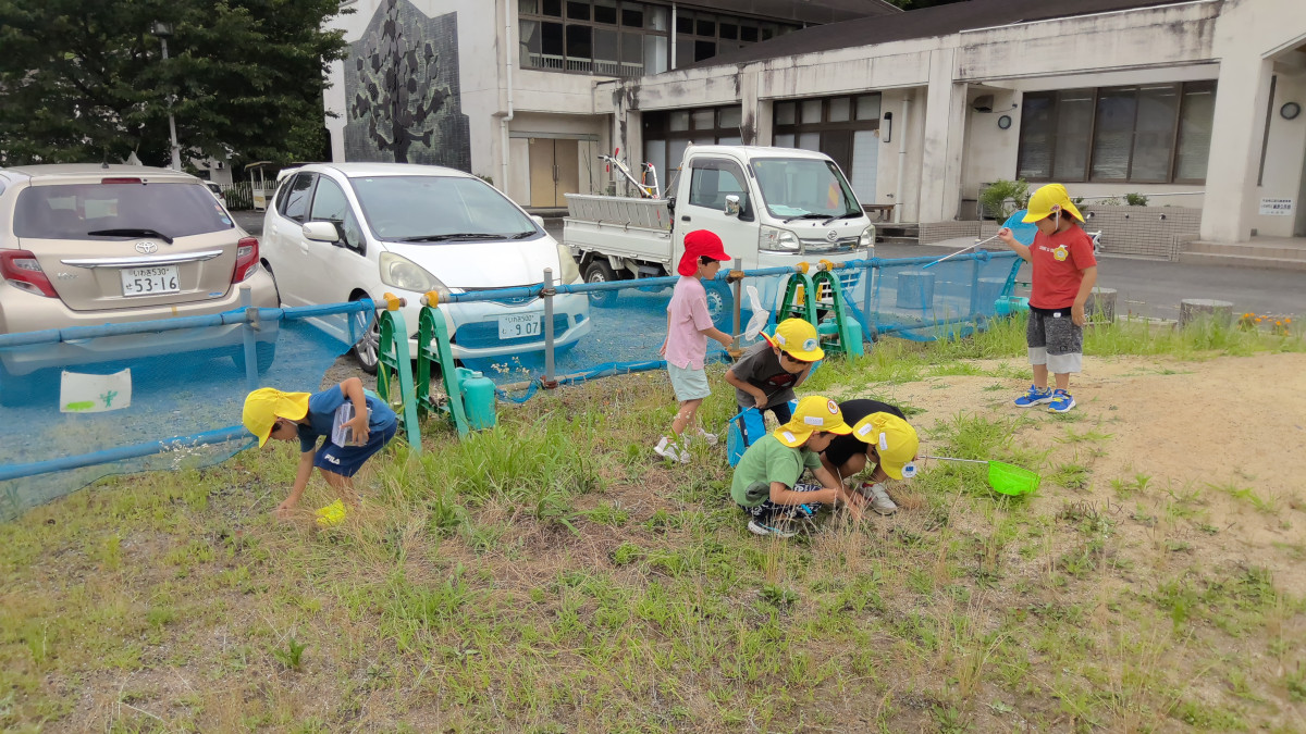 WIN_20250710_10_15_43_Pro