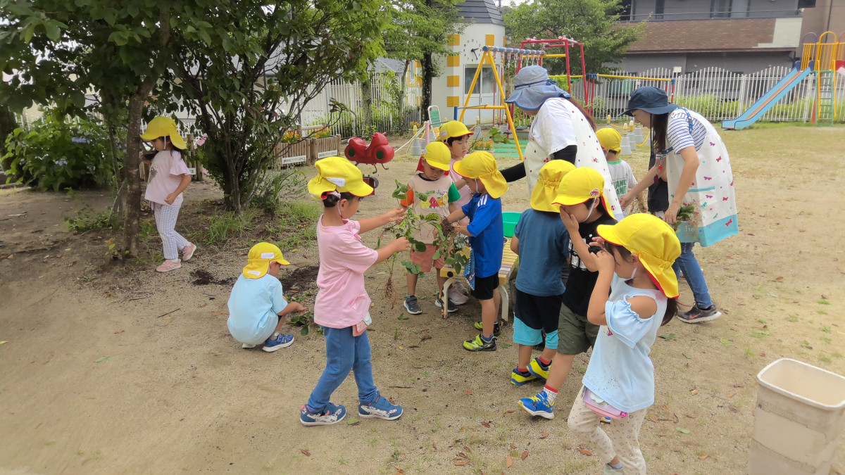 WIN_20250716_09_19_08_Pro