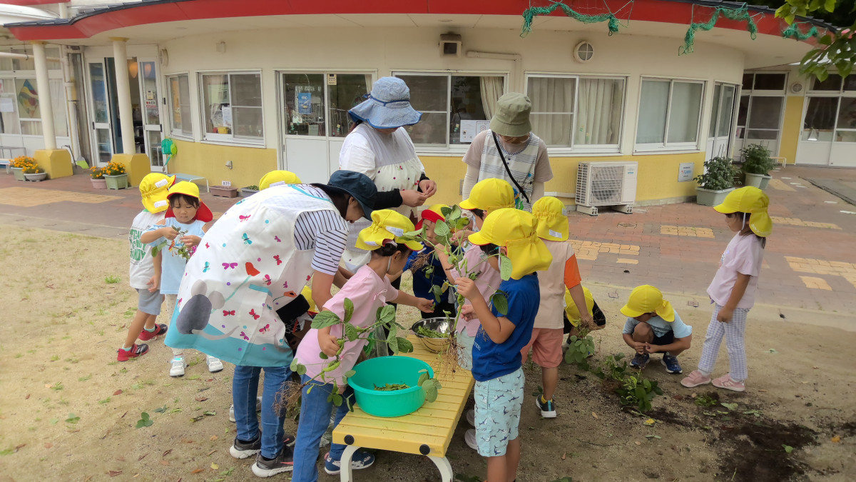 WIN_20250716_09_19_39_Pro