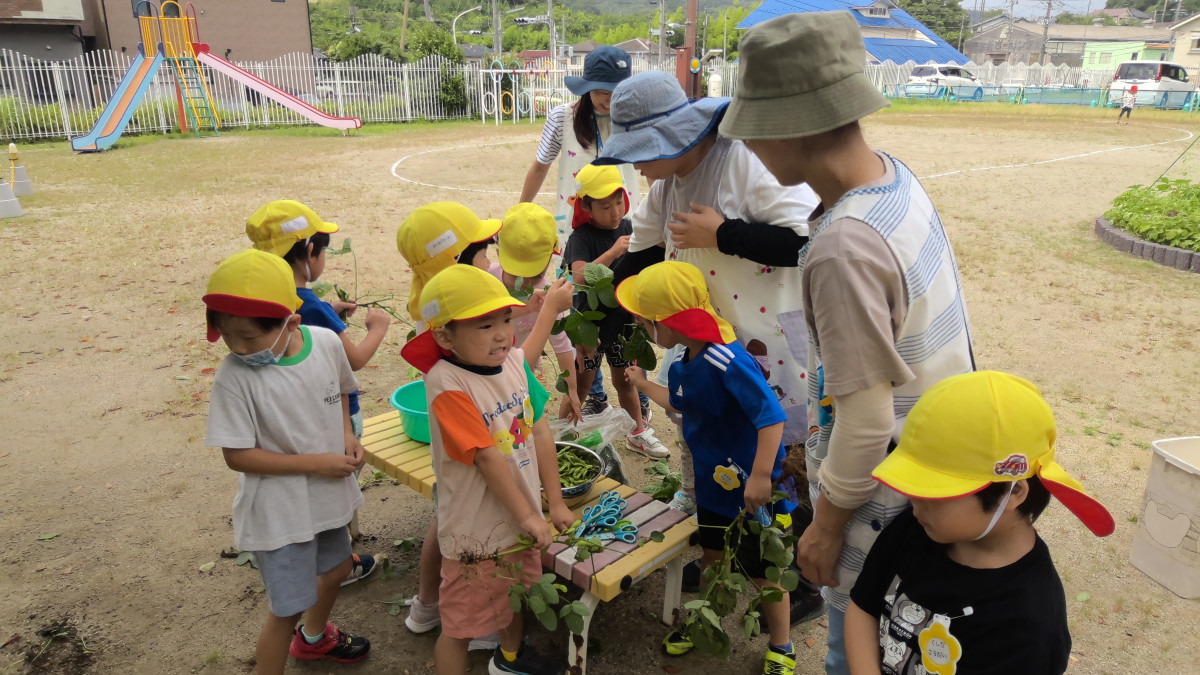 WIN_20250716_09_19_55_Pro