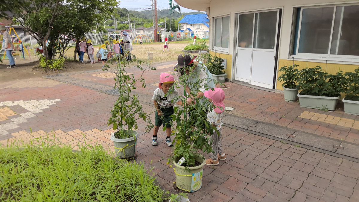 WIN_20250716_09_22_02_Pro