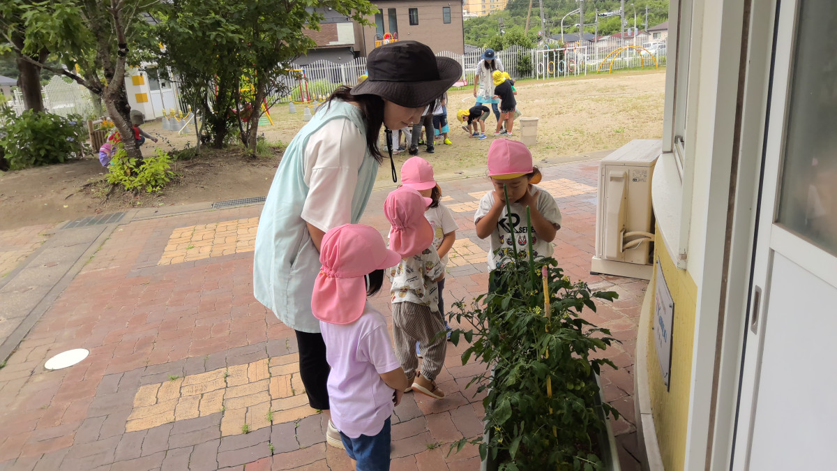 WIN_20250716_09_24_16_Pro