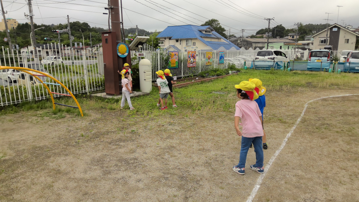 WIN_20250716_09_59_44_Pro