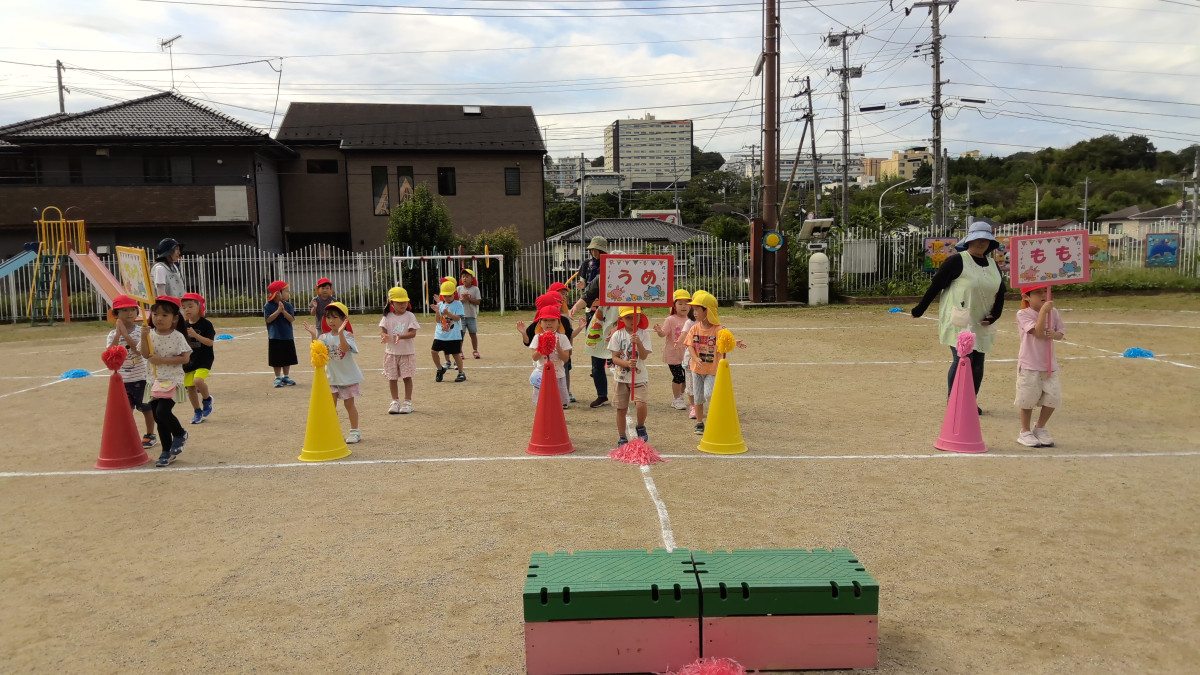 WIN_20250919_09_22_54_Pro