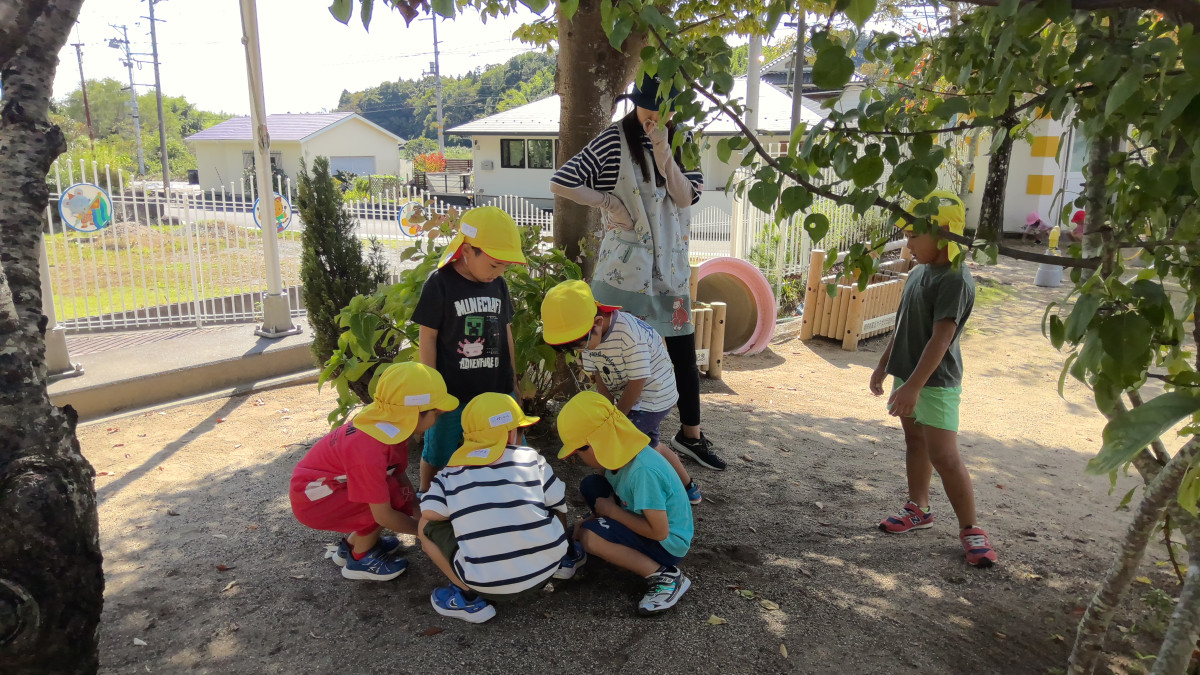 WIN_20251002_10_24_55_Pro