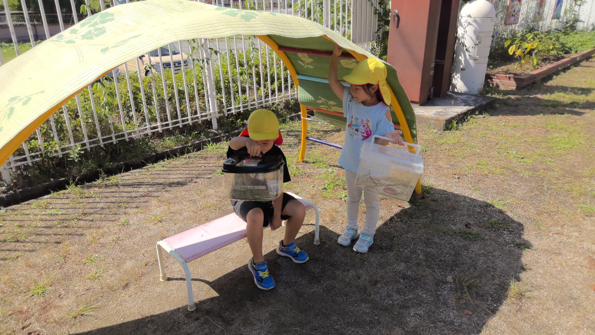 WIN_20251002_10_27_41_Pro