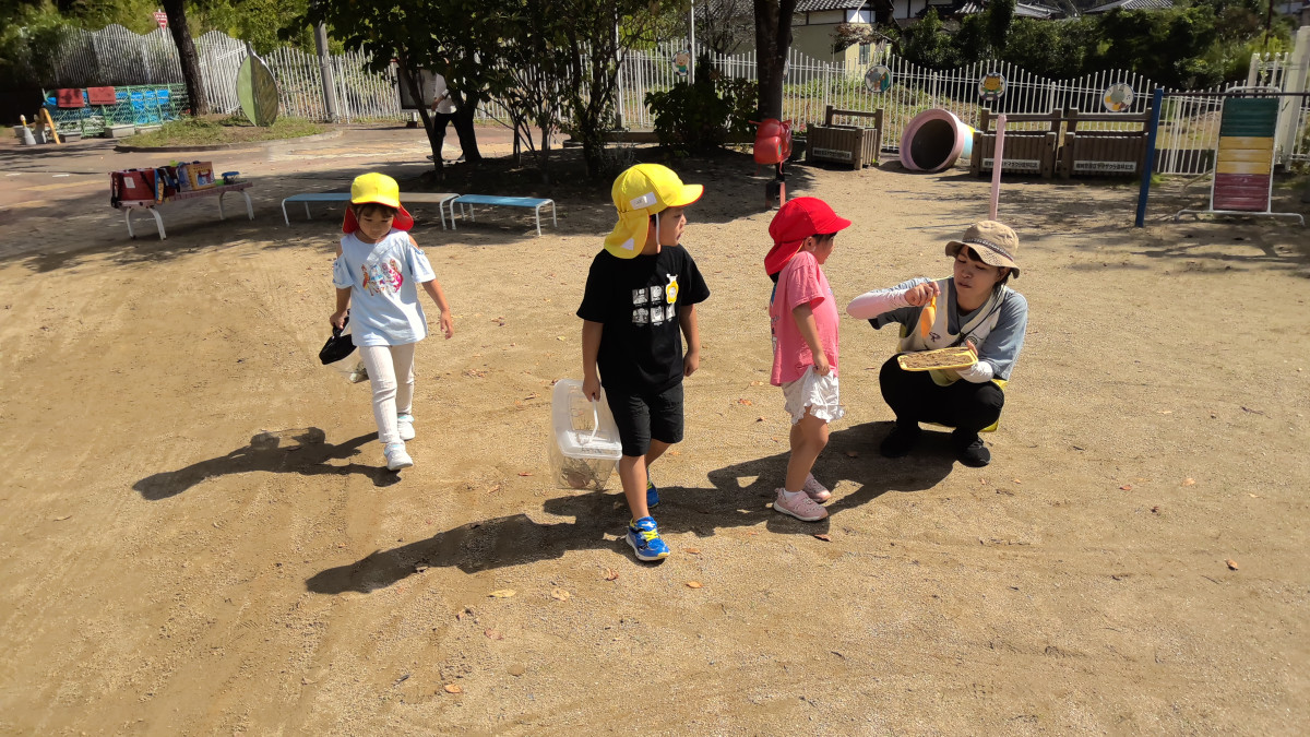 WIN_20251002_10_45_57_Pro