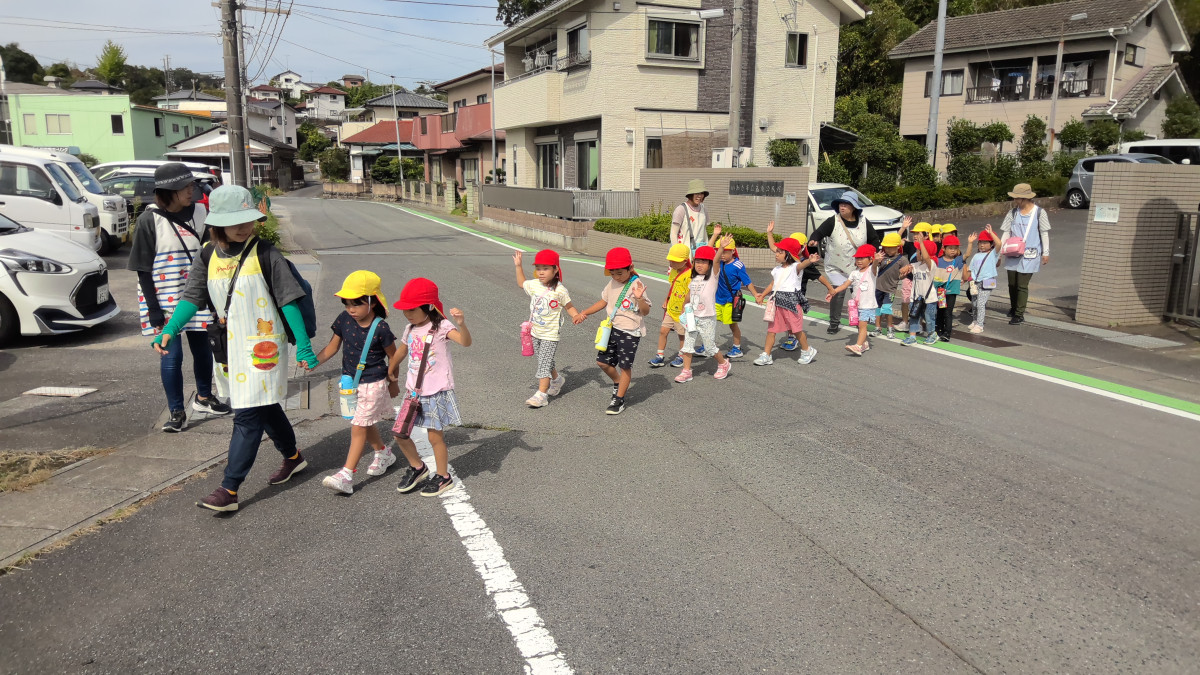 WIN_20251003_10_01_26_Pro