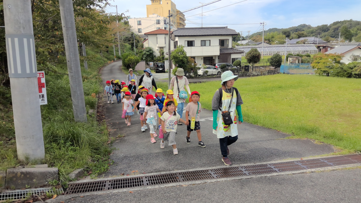 WIN_20251003_10_36_29_Pro