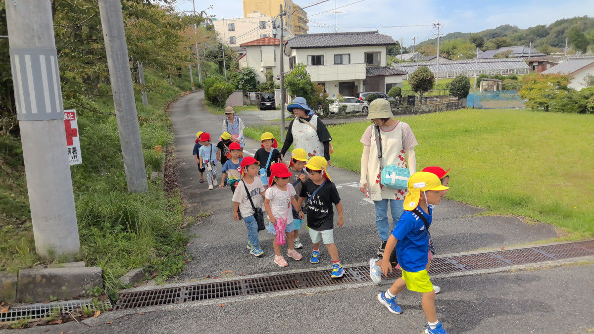 WIN_20251003_10_36_35_Pro