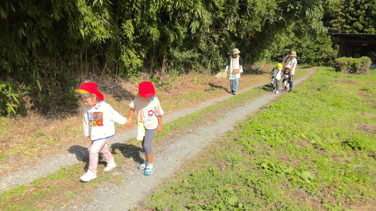 WIN_20251008_09_56_31_Pro