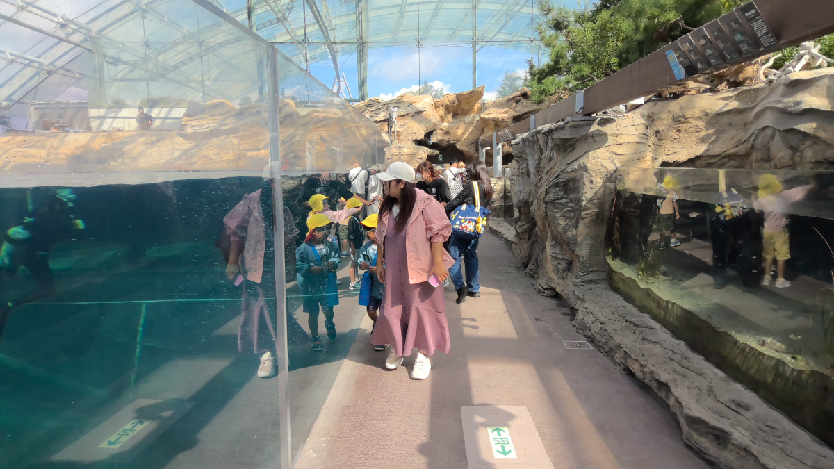 WIN_20251010_10_02_17_Pro