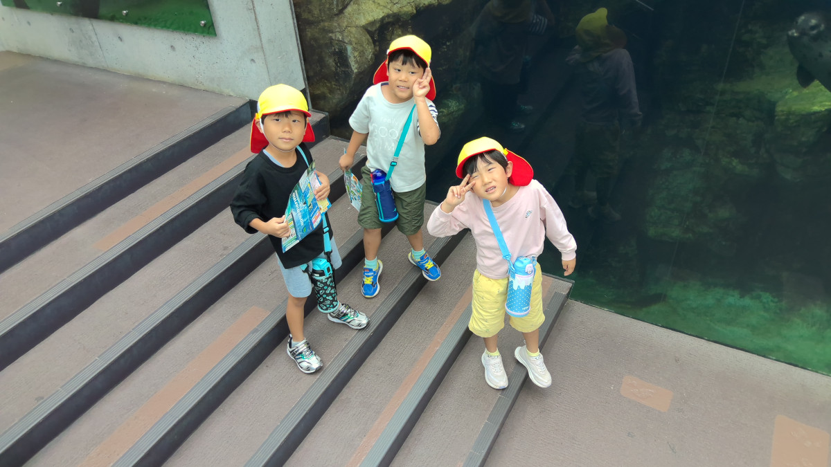 WIN_20251010_10_03_22_Pro