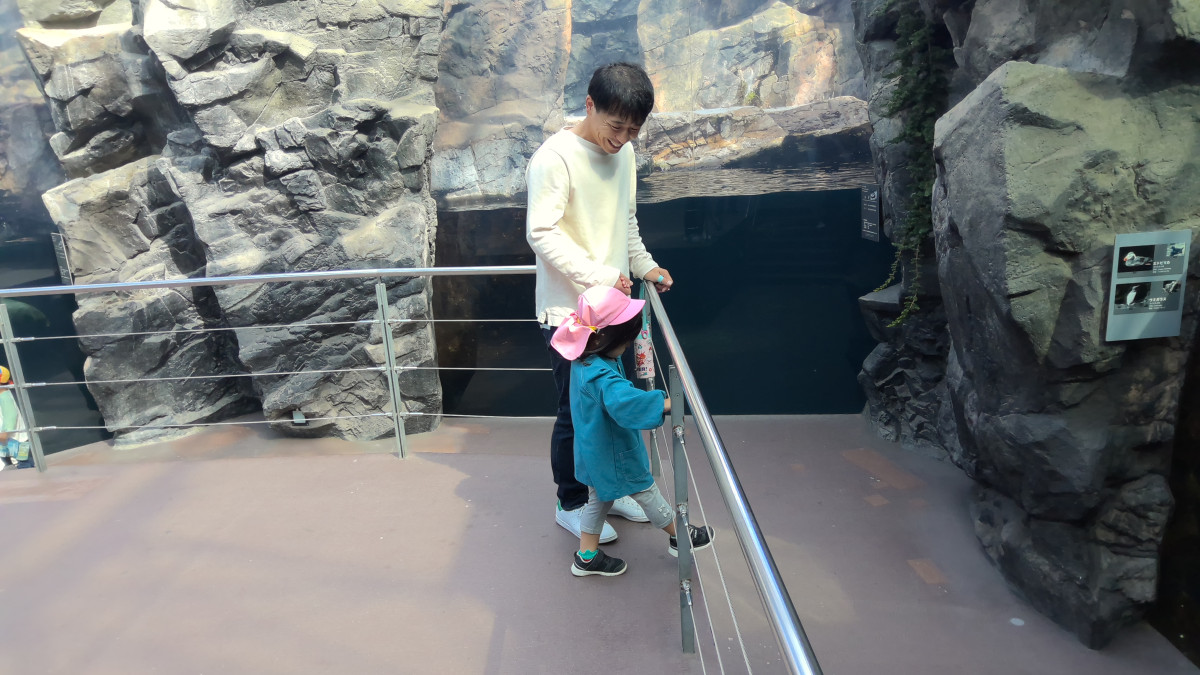 WIN_20251010_10_03_34_Pro