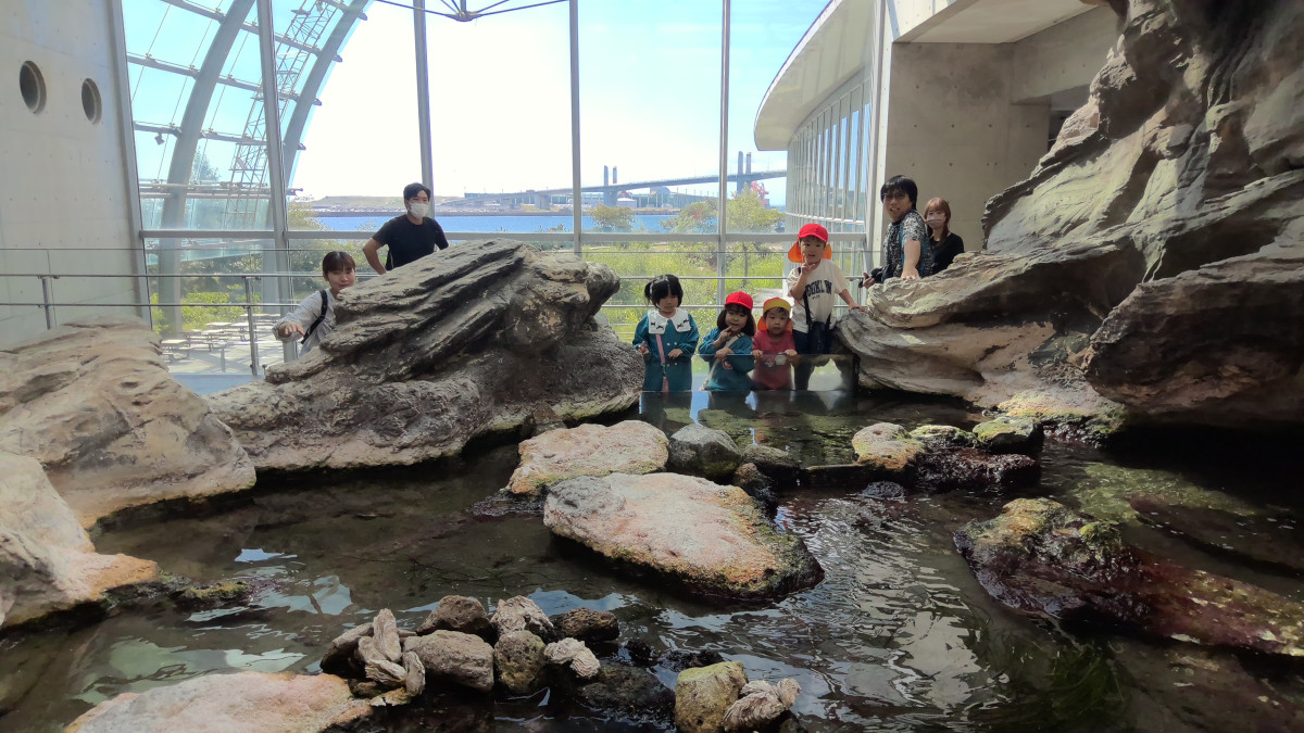 WIN_20251010_10_32_02_Pro