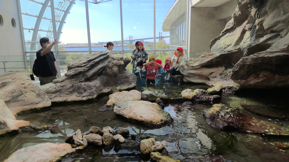 WIN_20251010_10_32_50_Pro (2)