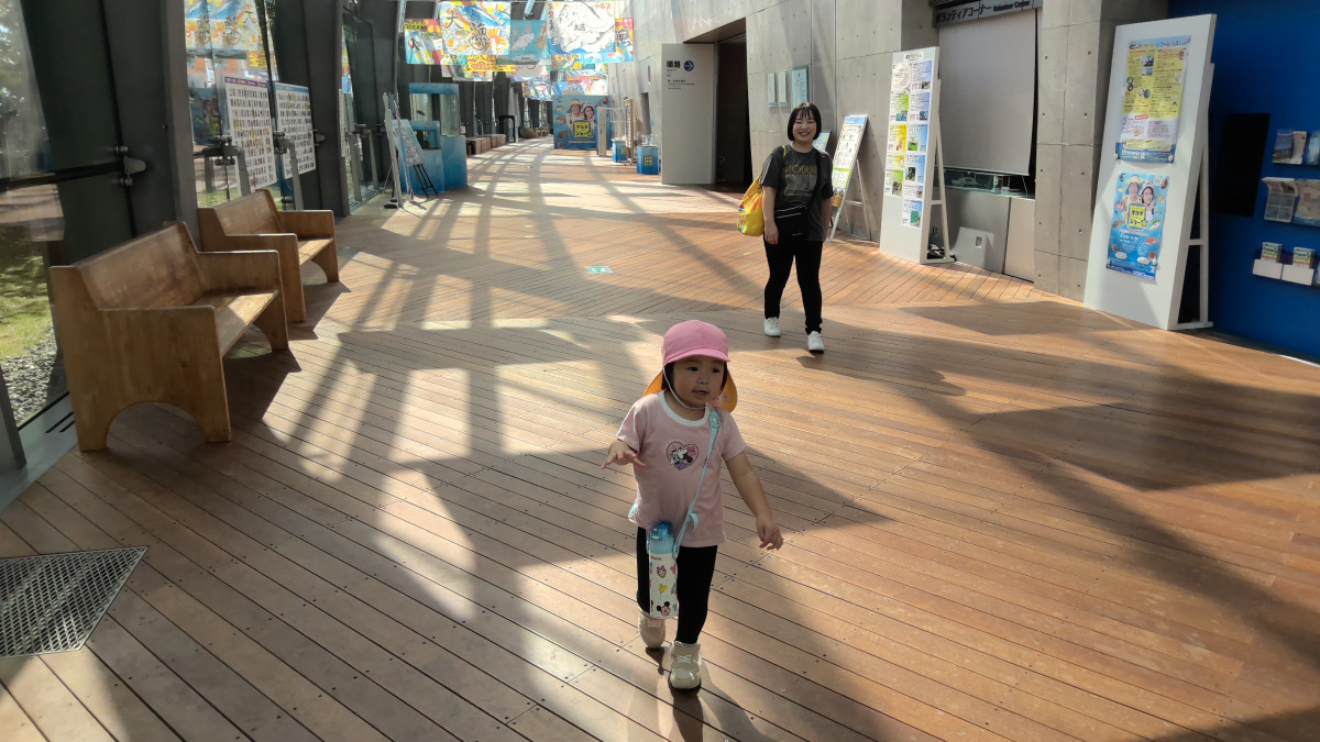 WIN_20251010_10_59_27_Pro