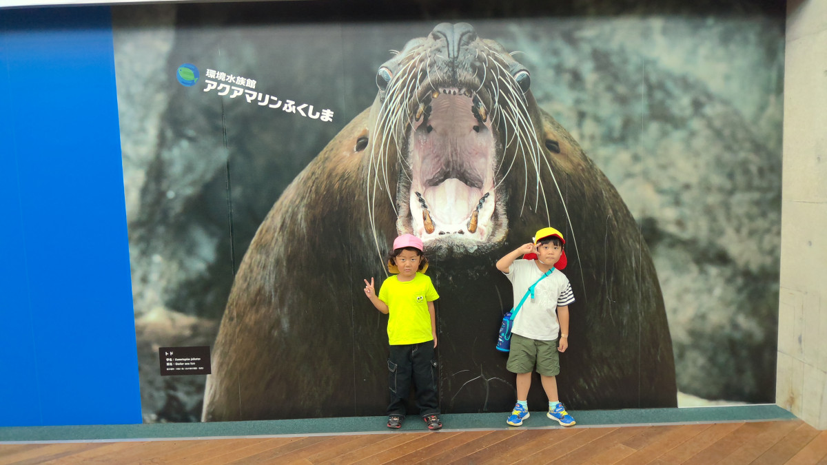 WIN_20251010_11_06_58_Pro