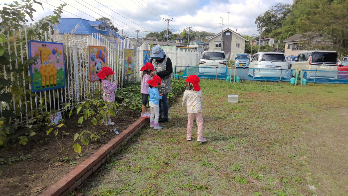 WIN_20251015_11_12_48_Pro