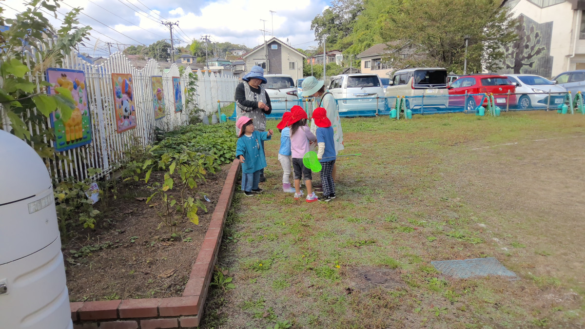 WIN_20251015_11_13_27_Pro