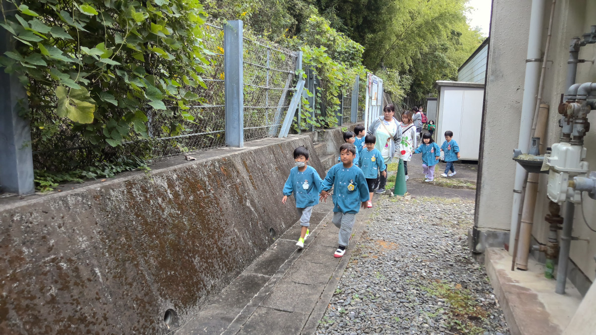 WIN_20251021_10_00_29_Pro