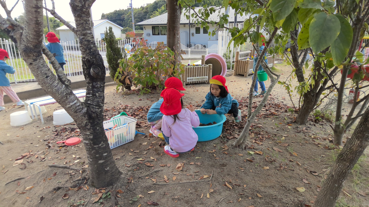 WIN_20251023_10_18_01_Pro